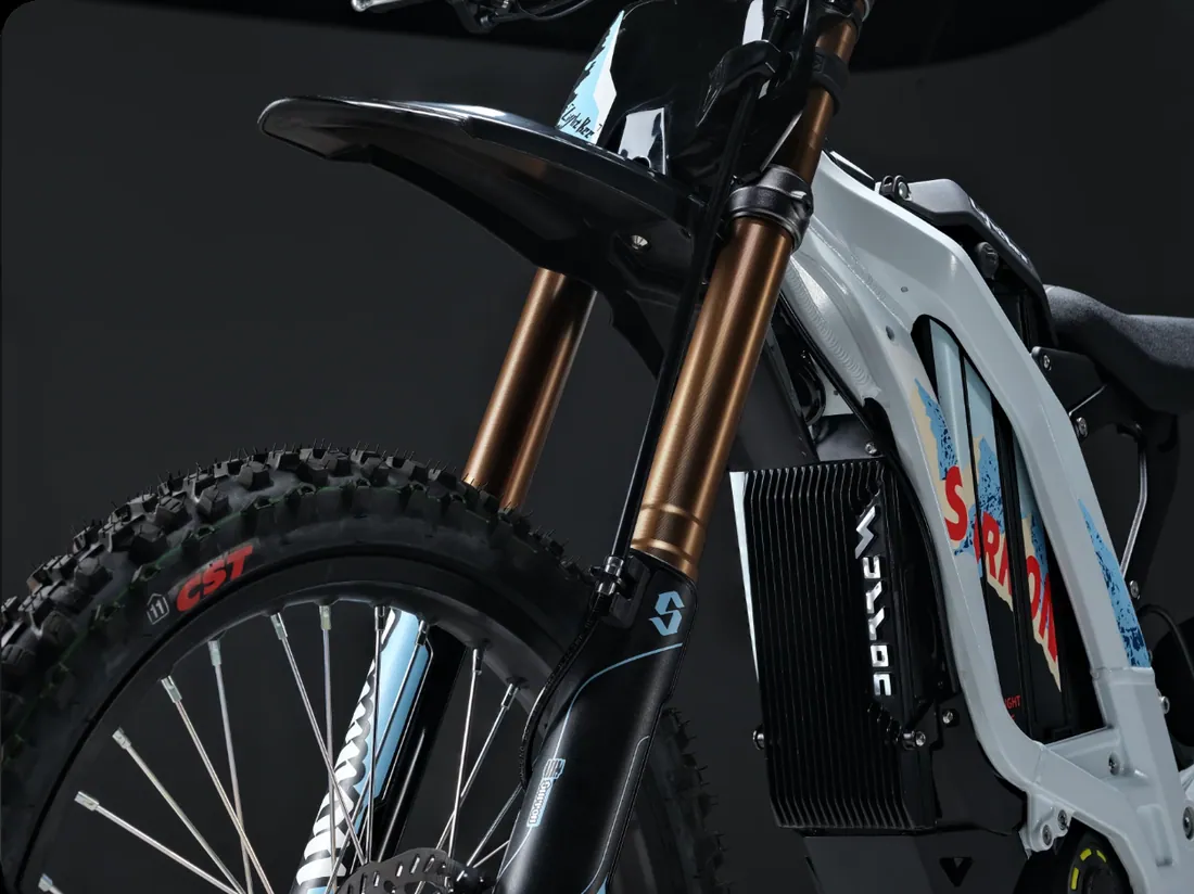 Light Bee X front fork, wheel and brake